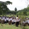 dsc01320.1